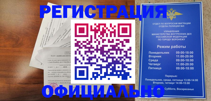 прописка поиск в Камчатской области